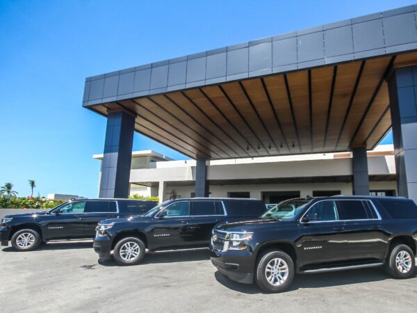 Suburban VIP: Punta Cana Airport to Hotels (1-5 Persons)