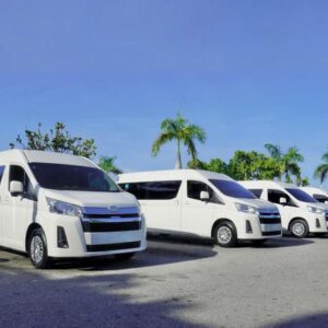 Private Shuttle: Punta Cana Airport to Hotels (1-5 Persons)