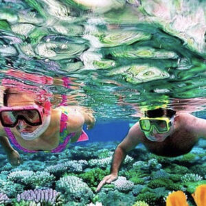 Catalina Island Day Trip